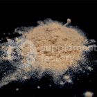 lions mane powder