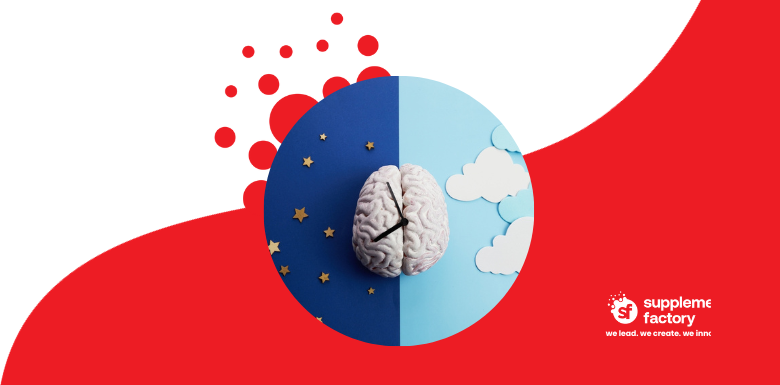 brain sleep