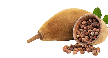 Baobab