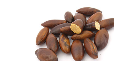 Baru Nuts