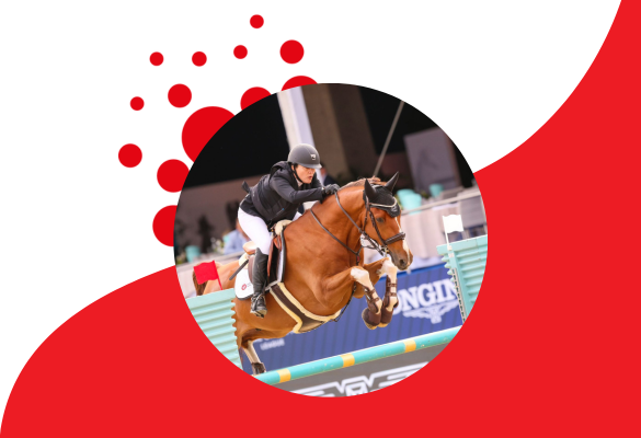 How We Created the Equestrian Supplement That Is Taking the World by Storm