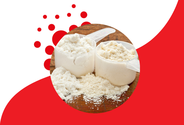 Whey vs Plant Protein – Which is Better?