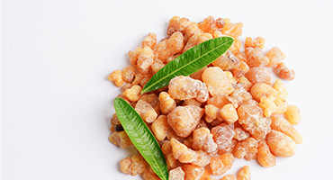 Boswellia Serrata