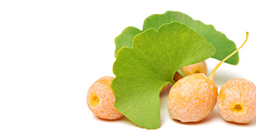 Ginkgo Biloba