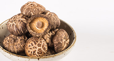 Shiitake