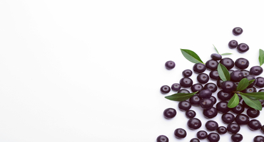 Acai Berry