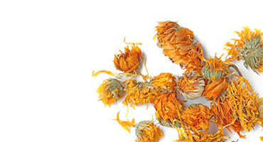 Marigold Extract
