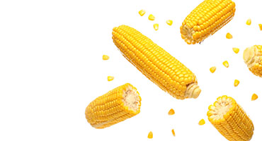 Corn Starch