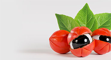 Guarana