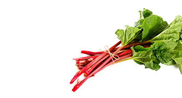 Rheum Extract