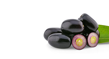 Jambolan seed