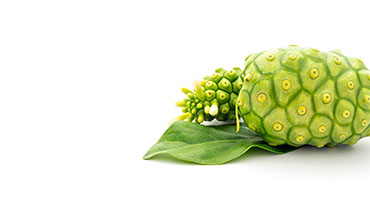 Noni
